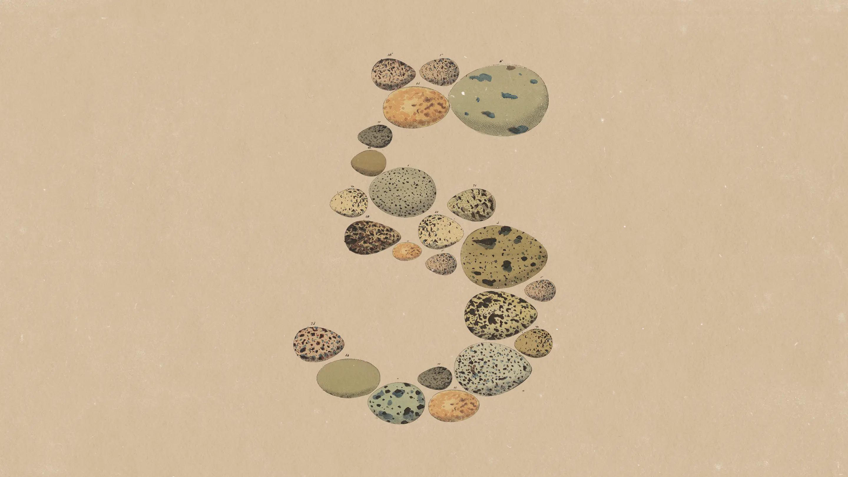 Claude Opus 5 by Anthropic: What’s New and Why It Matters for Businesses (2026)