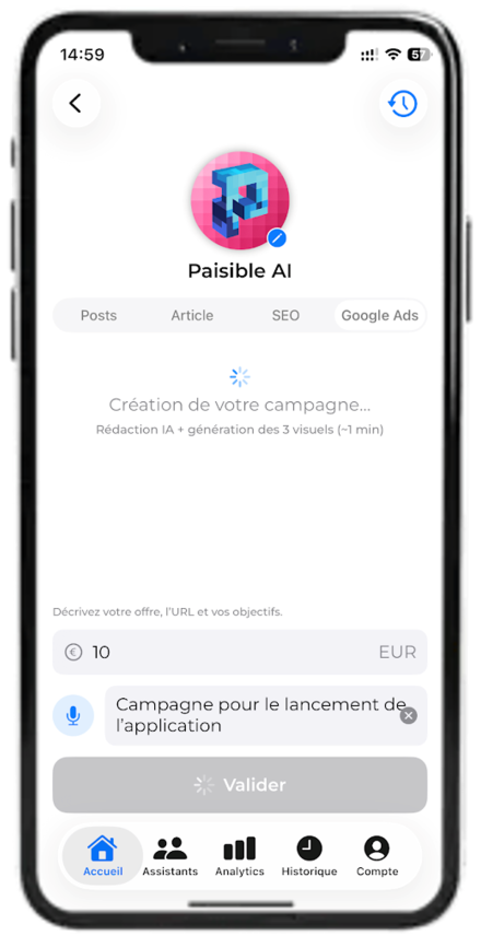 Paisible AI — Google Ads campaign