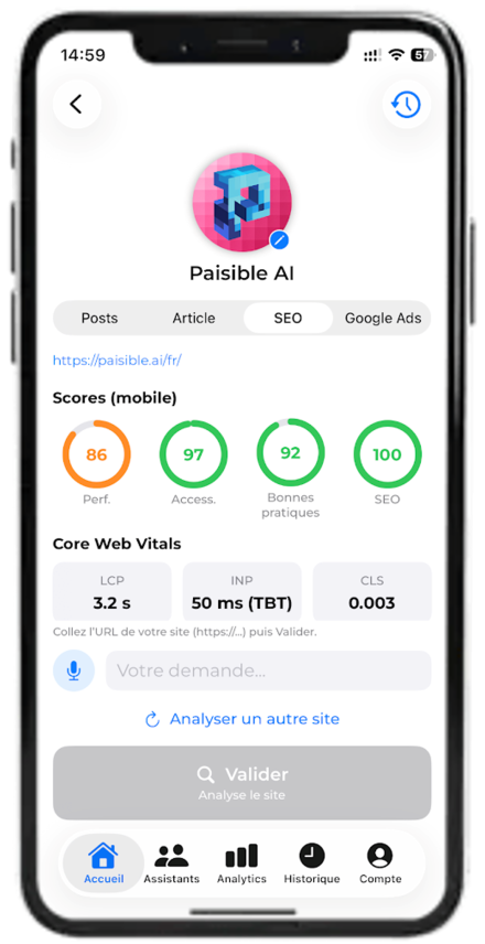 Paisible AI — website SEO audit