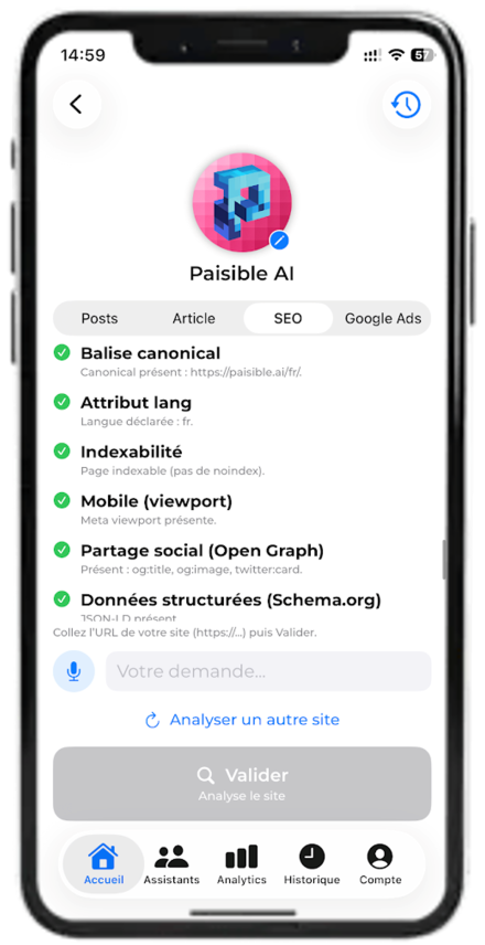 Paisible AI — website SEO audit