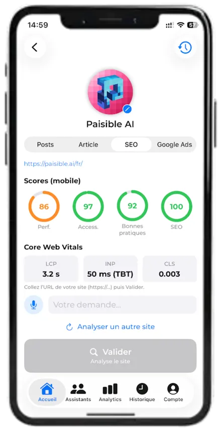 Paisible AI — website SEO audit
