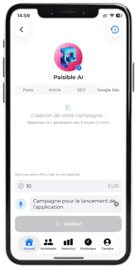 Paisible AI — Google Ads campaign