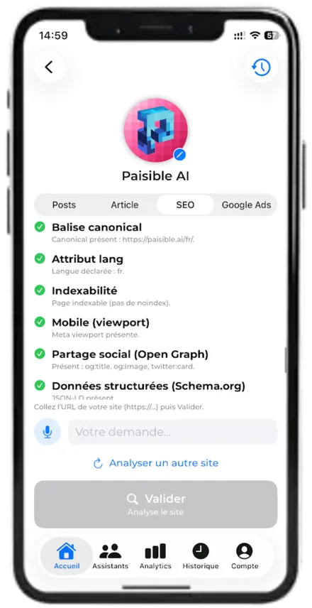 Paisible AI — website SEO audit