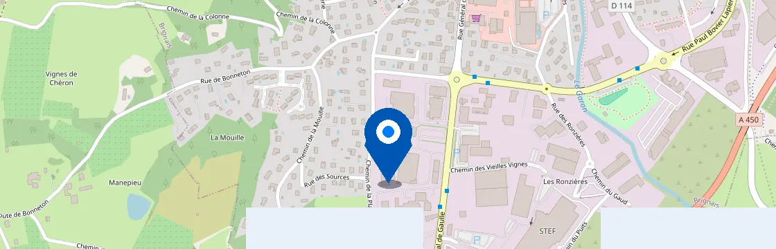 Carte et itinéraire - 216 avenue du général de gaulle, 69530 Brignais, France