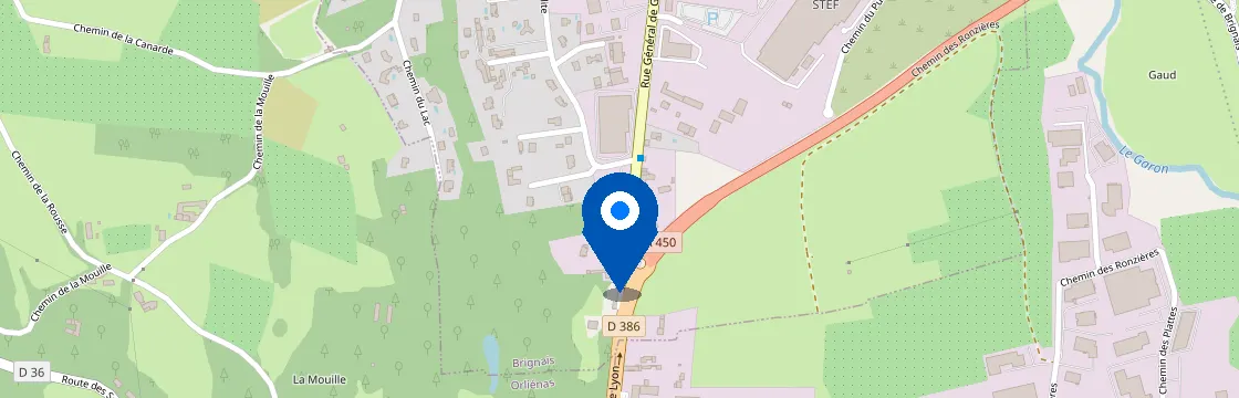 Carte et itinéraire - 266 Rue Général de Gaulle, 69530 Brignais, France